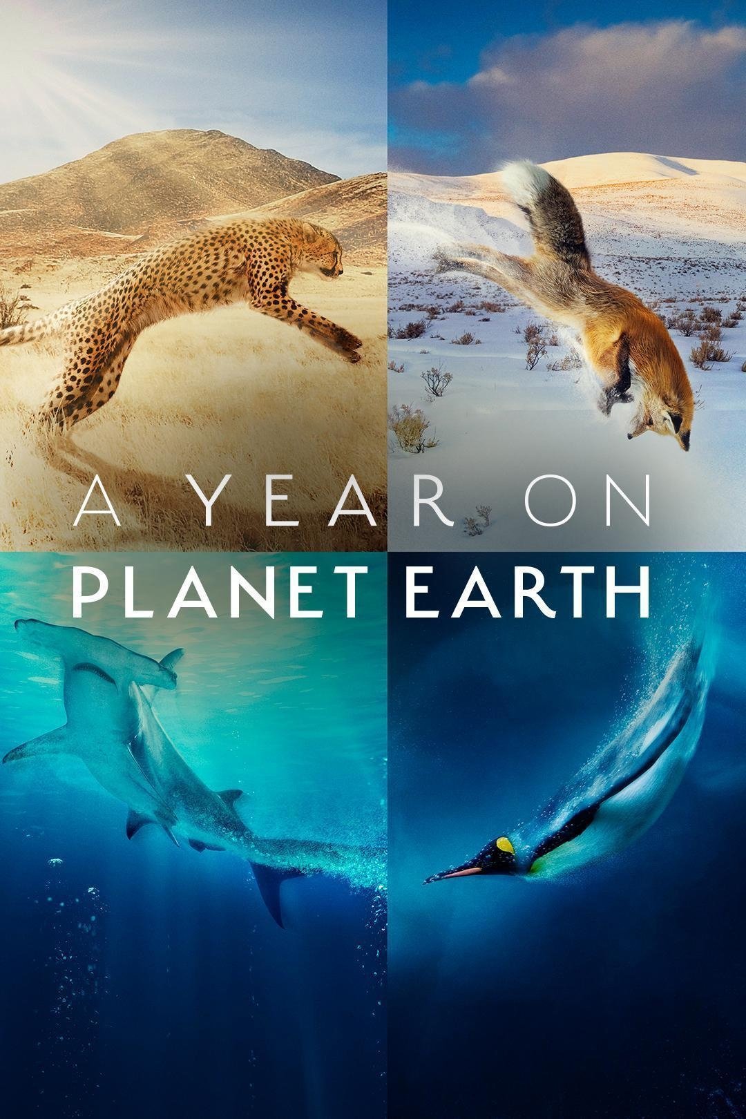Ver A Year on Planet Earth serie online