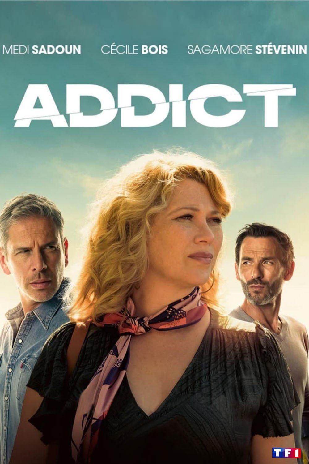 Ver Addict serie online
