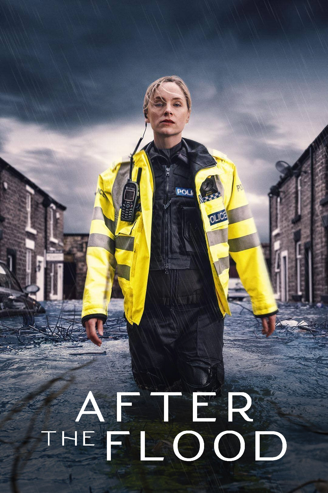 Ver After the Flood serie online