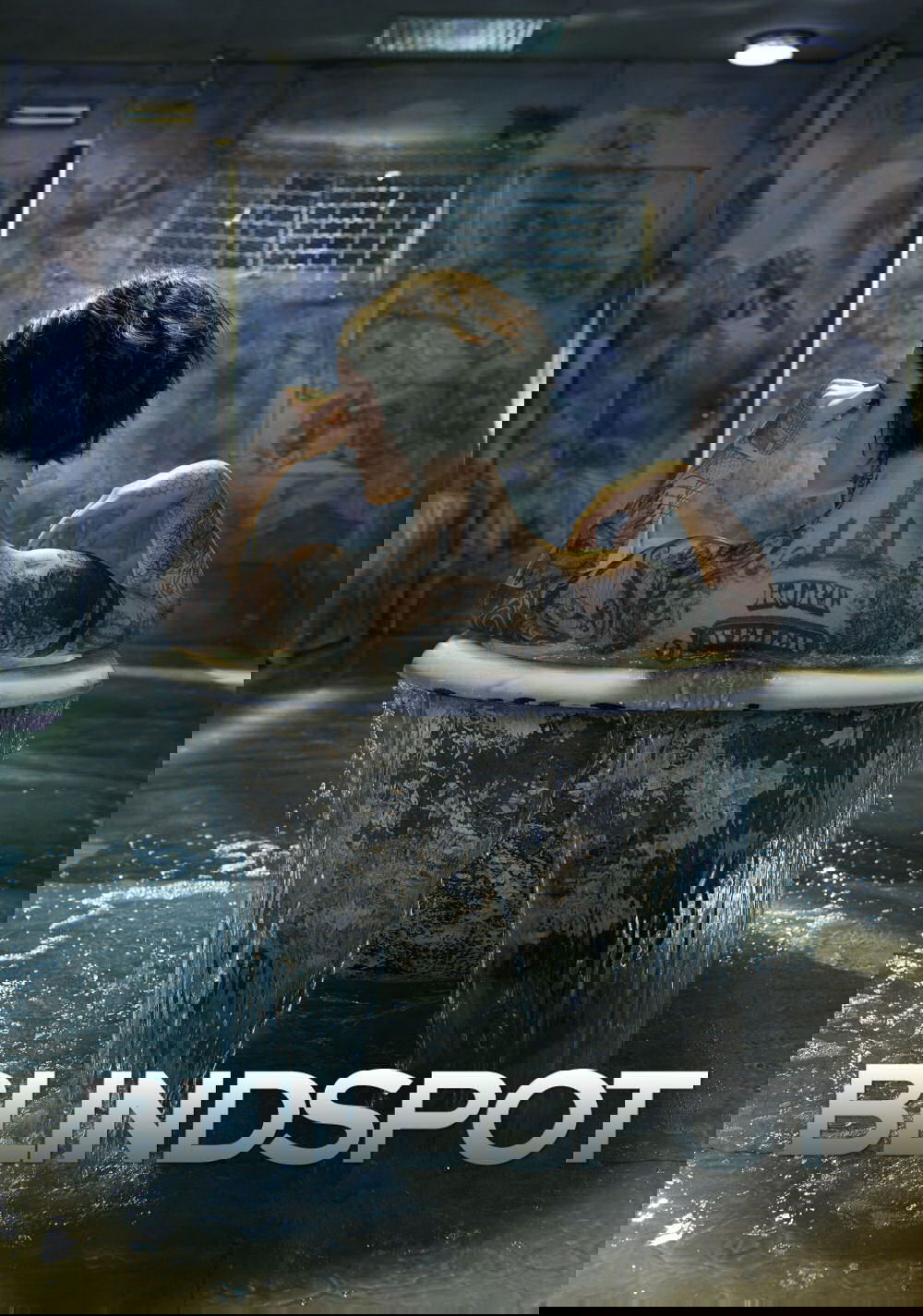 Ver Blindspot serie online