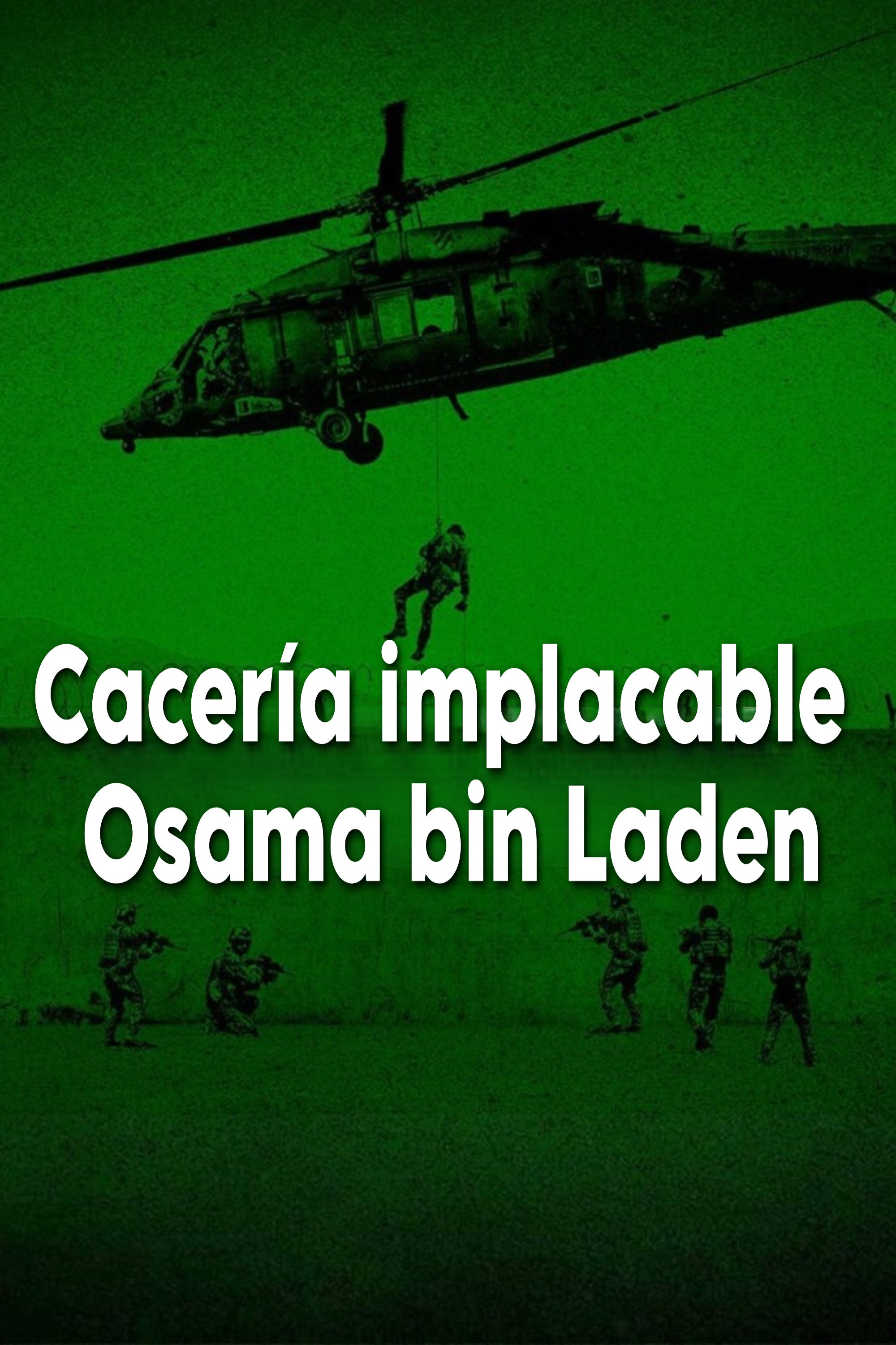 Ver Cacería implacable: Osama bin Laden serie online