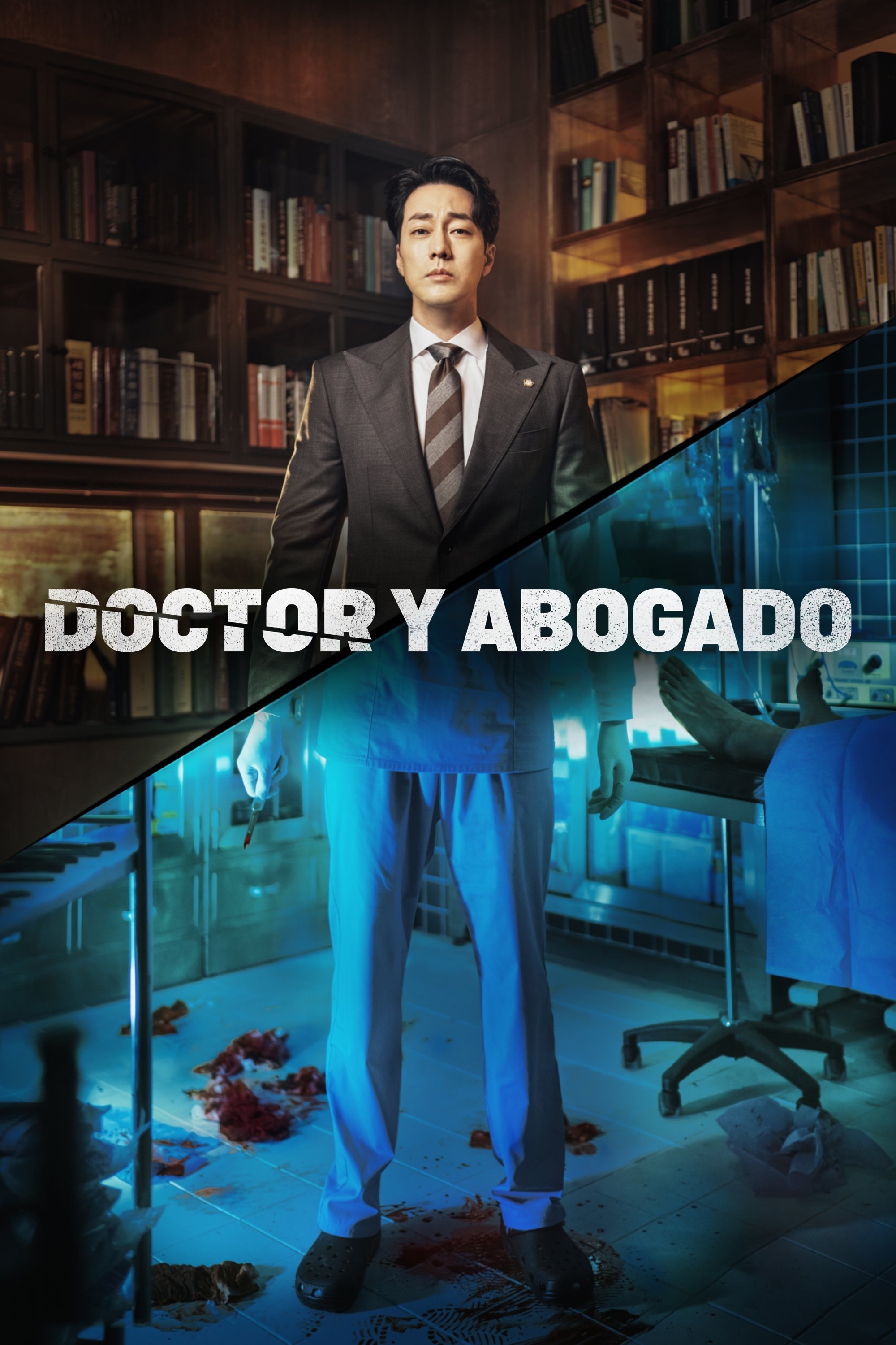 Ver Doctor y abogado serie online