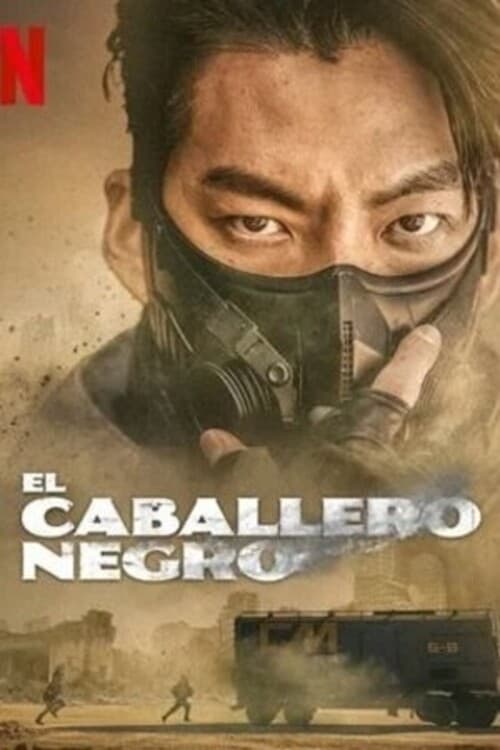 Ver El caballero negro serie online
