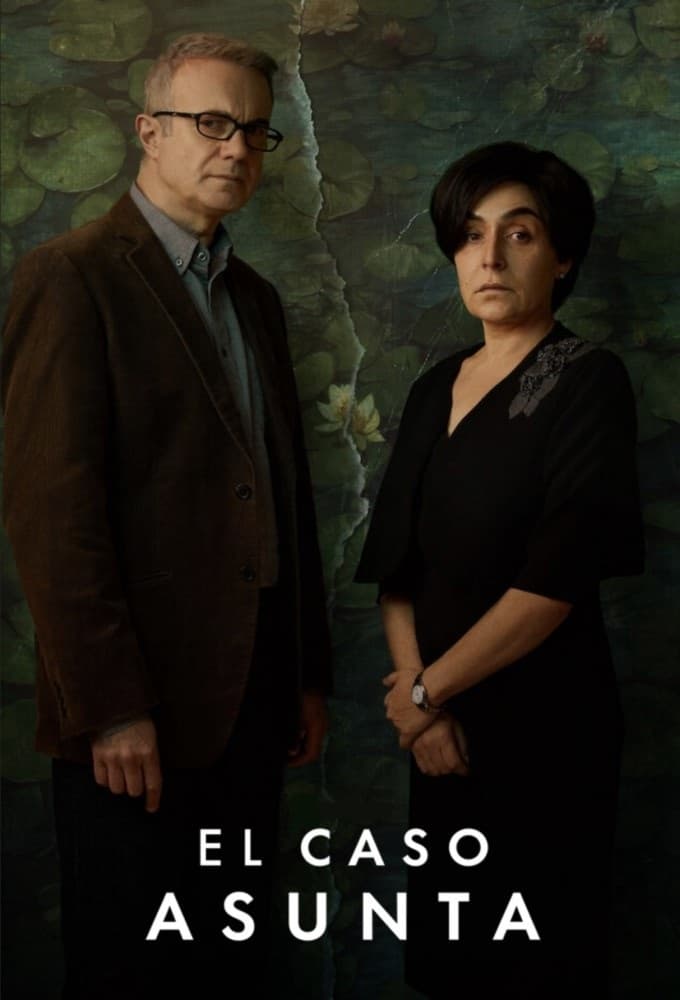 Ver El caso Asunta serie online