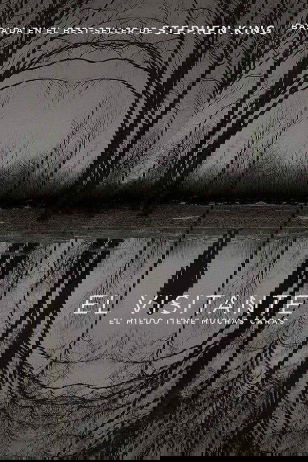 Ver El visitante serie online