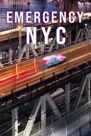 Ver Emergencias: Nueva York serie online