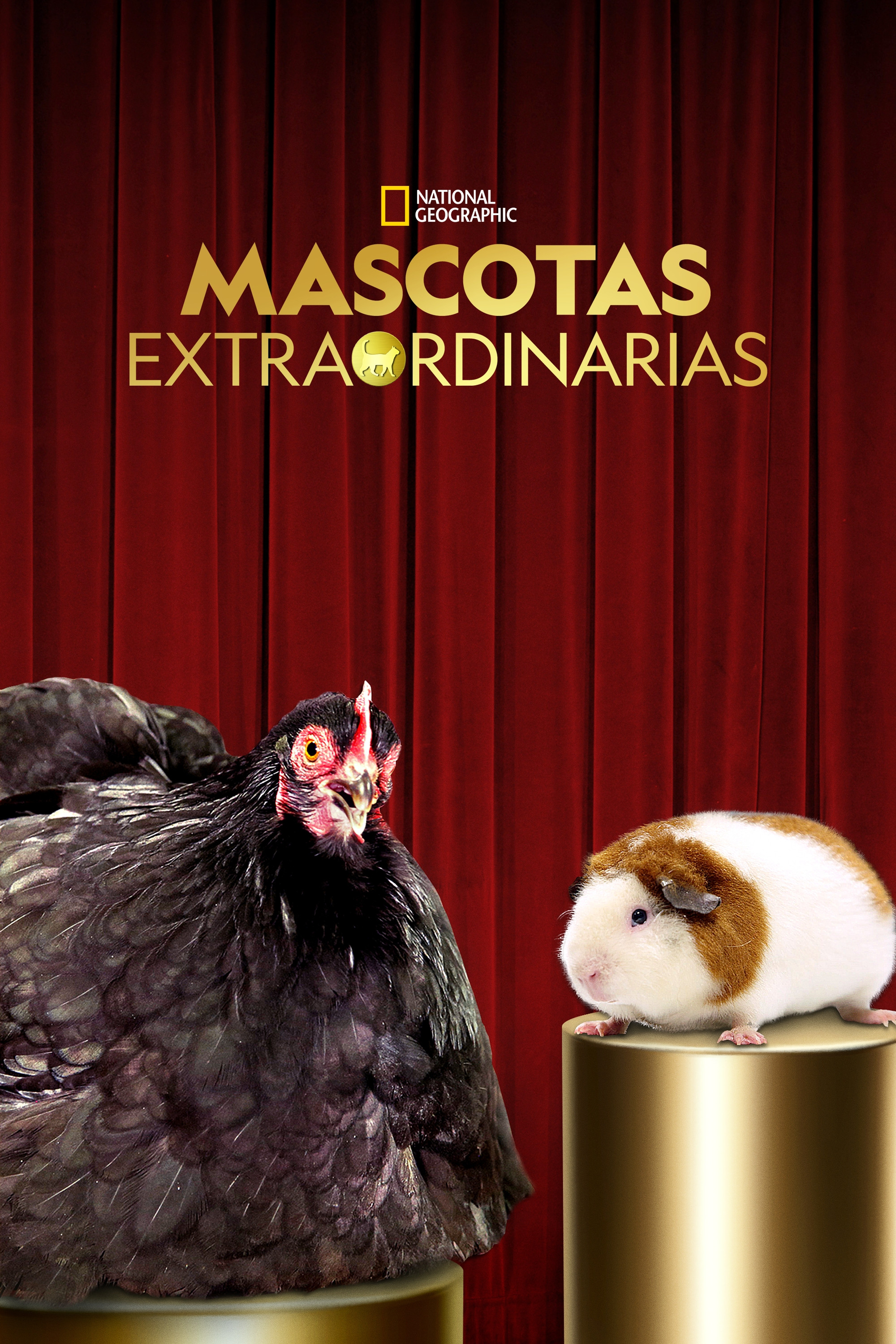 Ver Going Fur Gold serie online