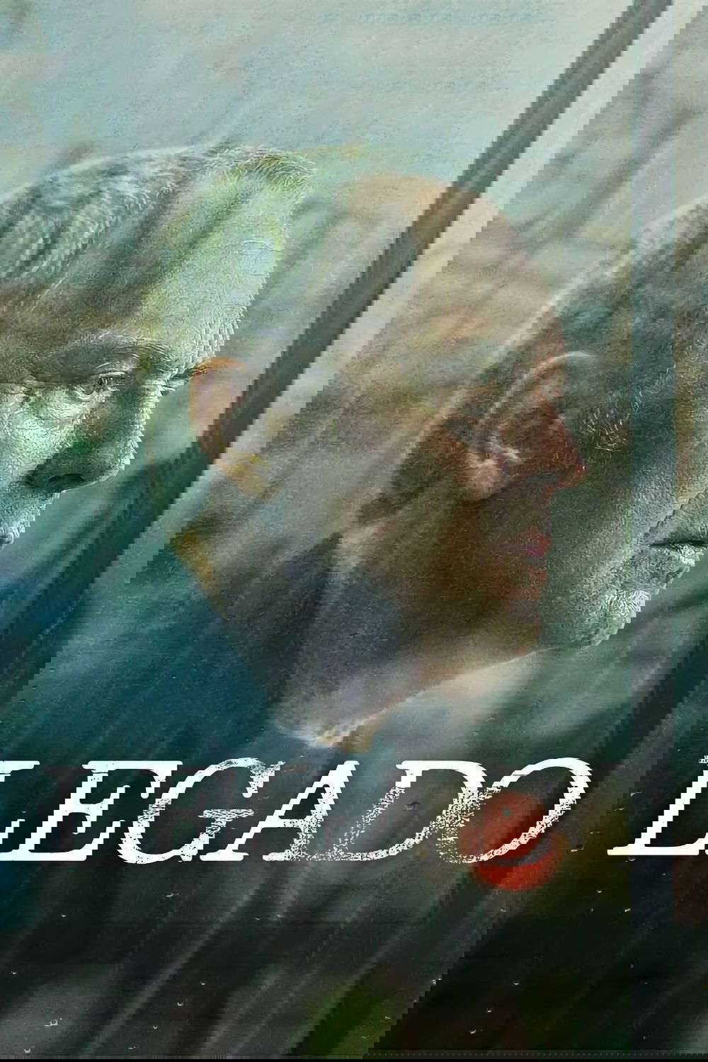 Ver Legado serie online