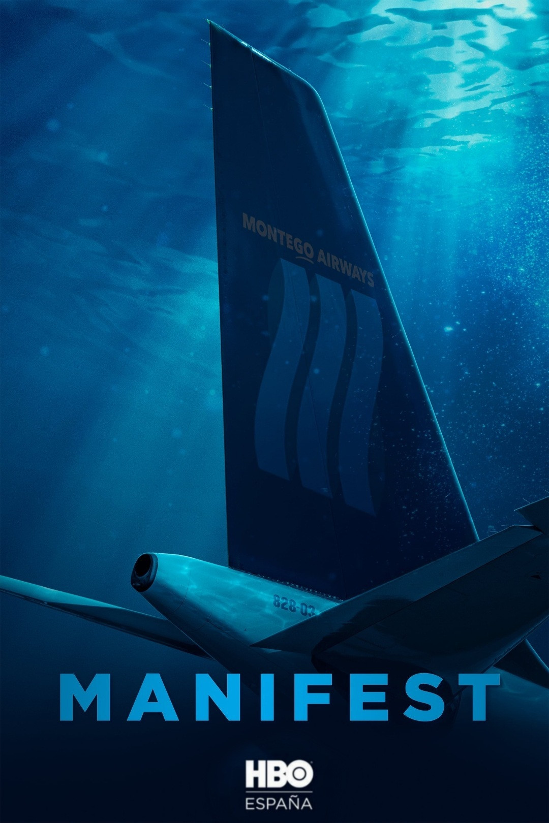 Ver Manifest serie online
