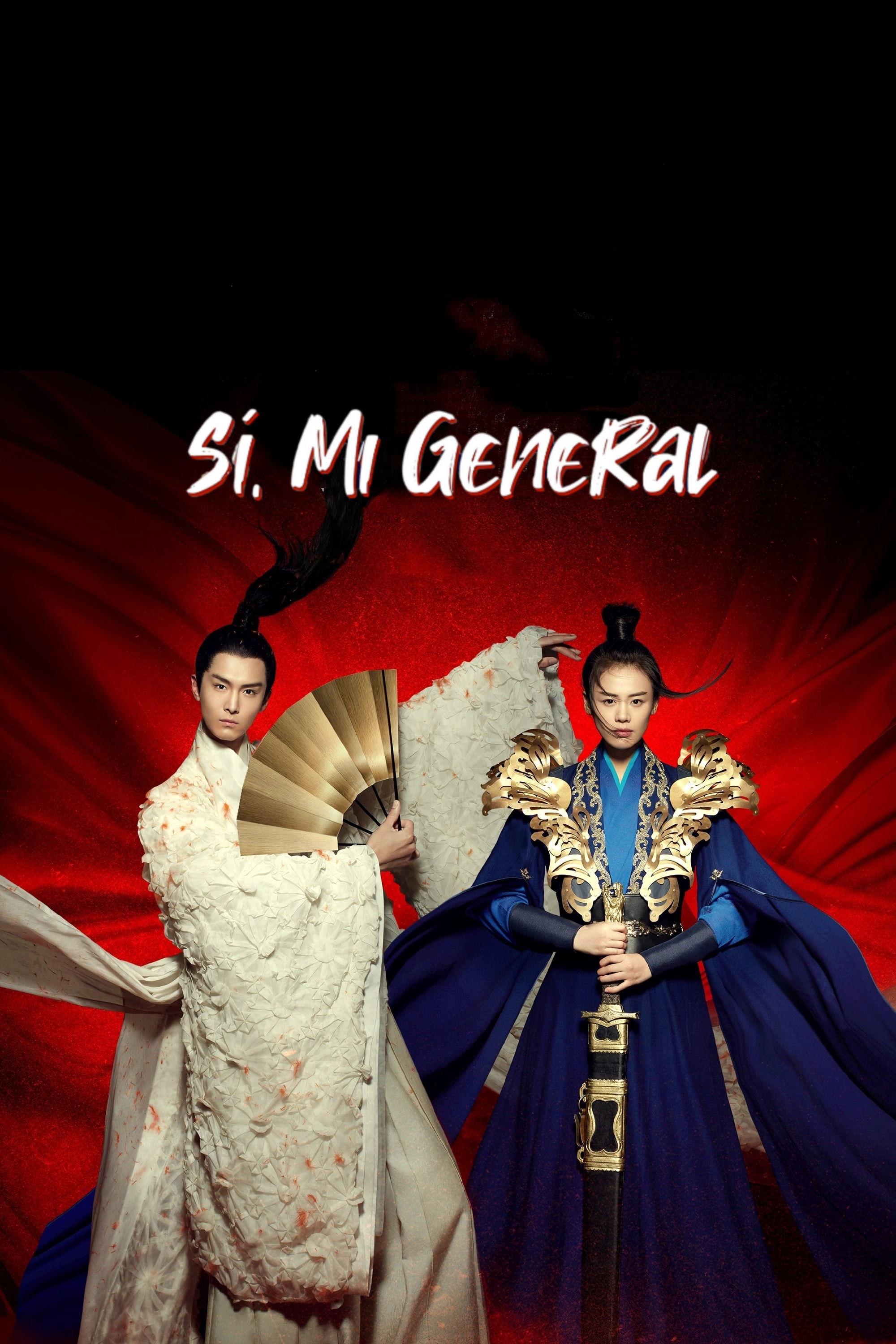 Ver Mi General serie online