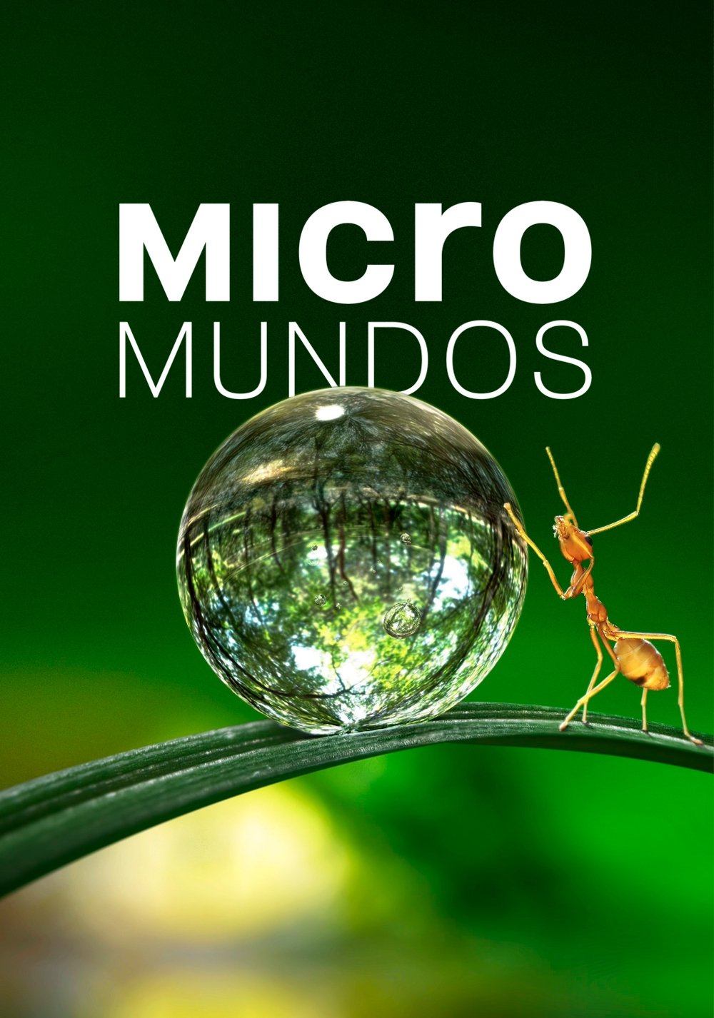 Ver Micromundos serie online