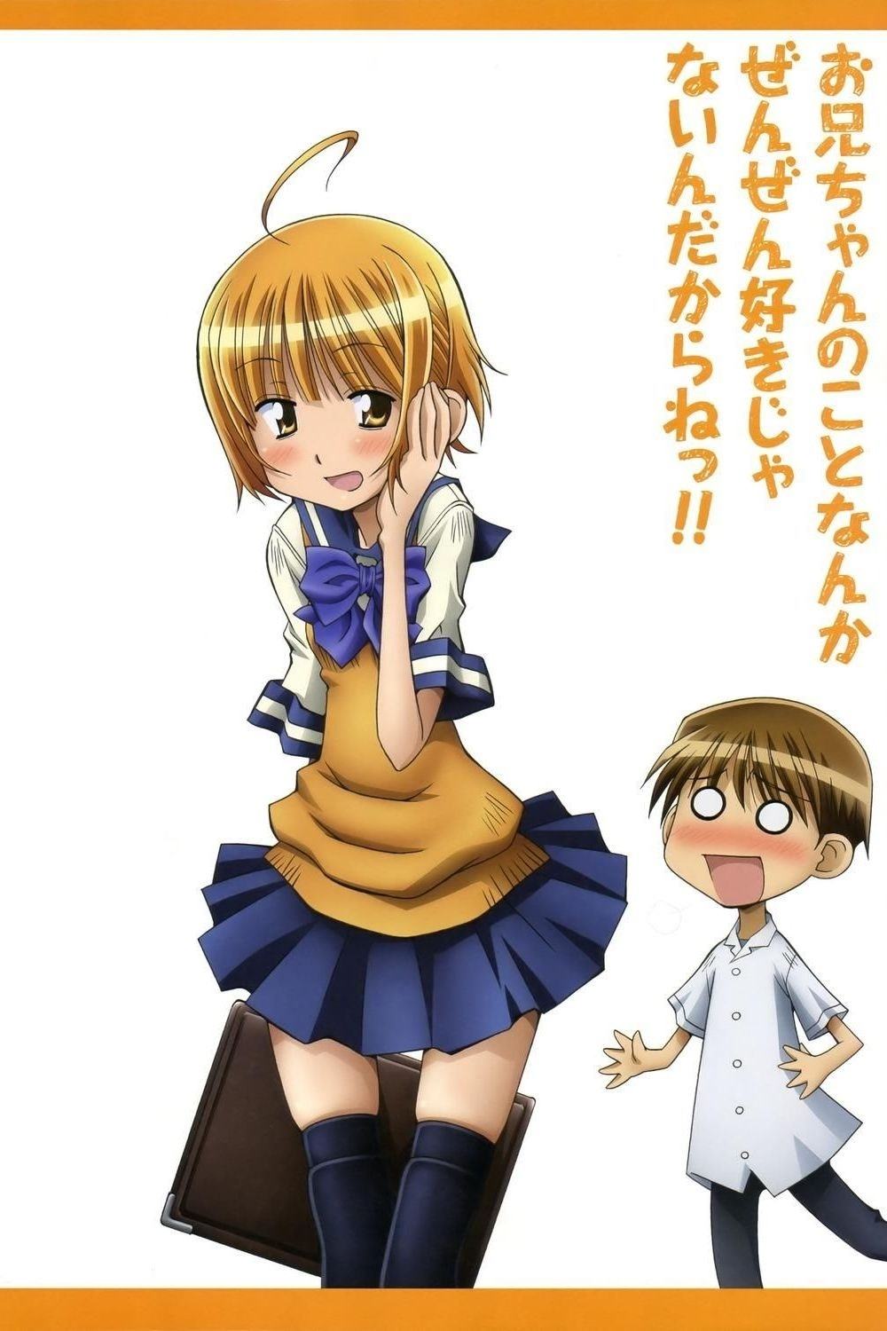 Ver Oniichan no Koto nanka Zenzen Suki ja Nai n da kara ne!! serie online