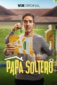 Ver Papá Soltero serie online