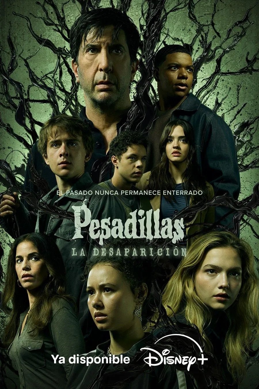 Ver Pesadillas: La desaparición serie online