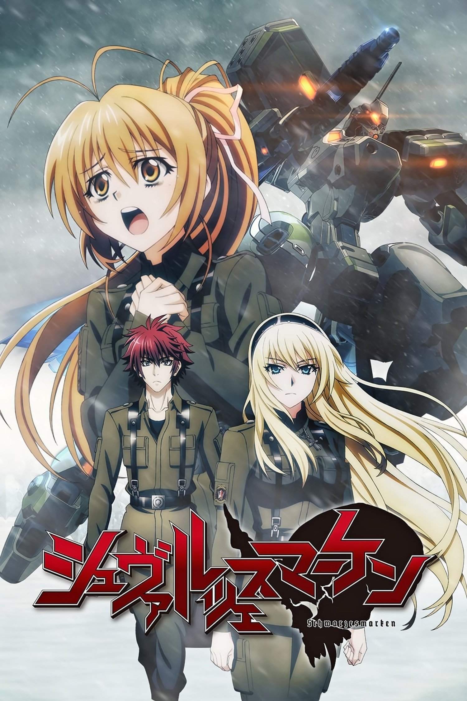 Ver Schwarzesmarken serie online