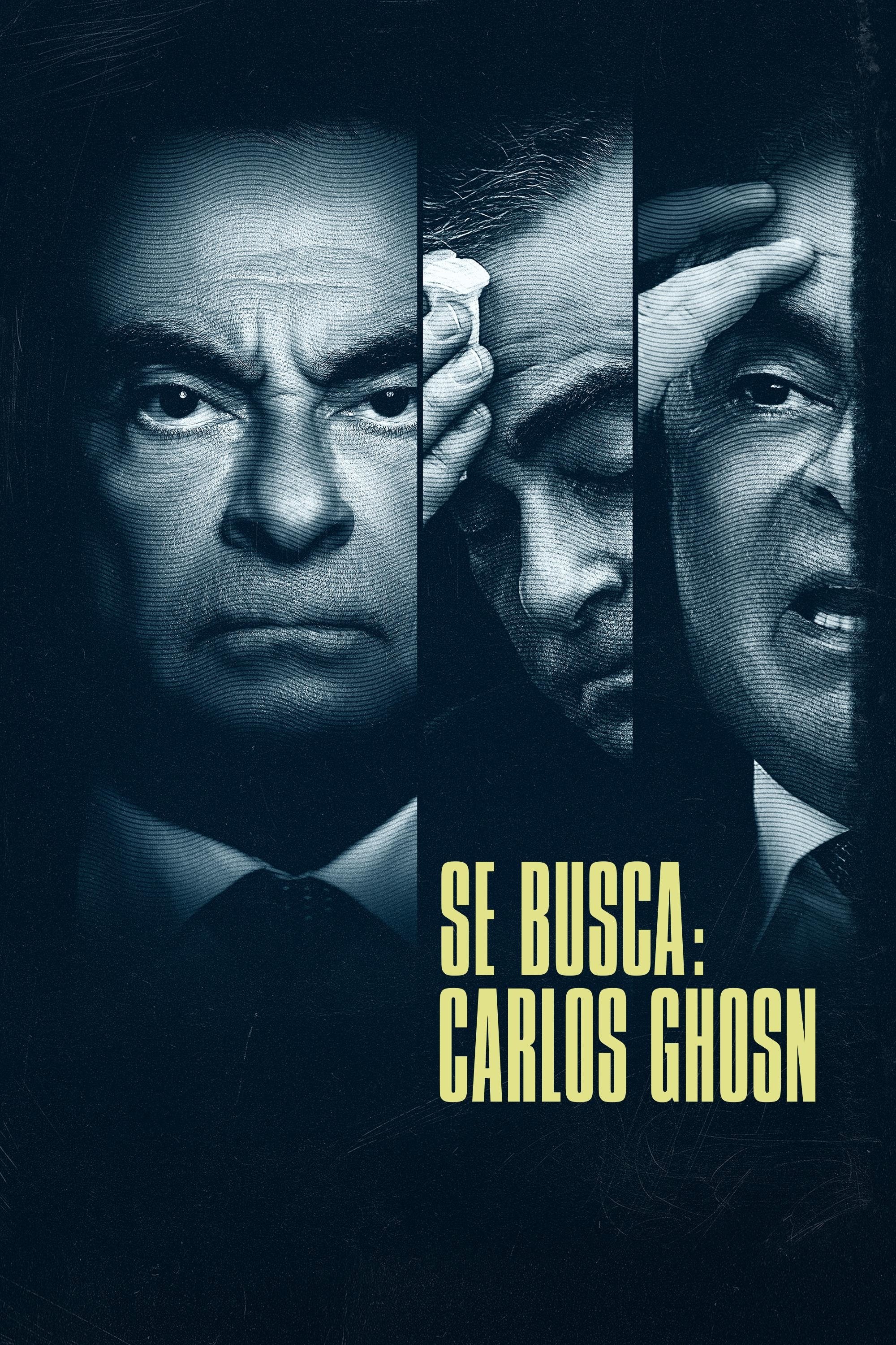 Ver Se busca: Carlos Ghosn serie online