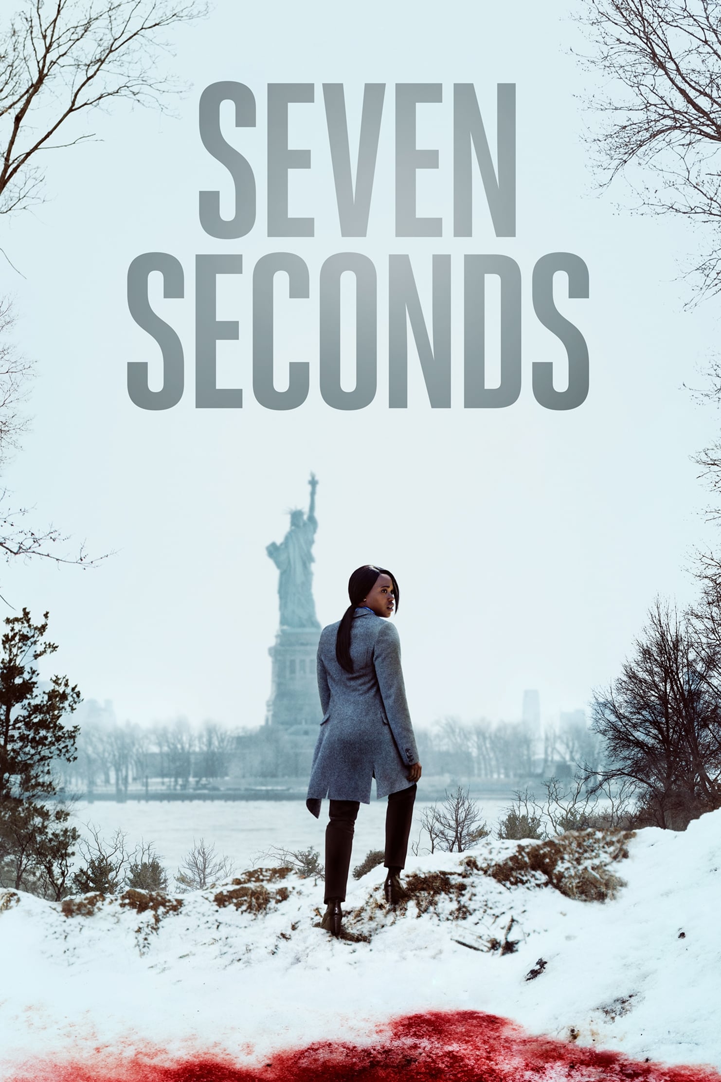 Ver Seven Seconds serie online