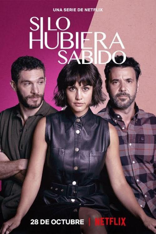 Ver Si lo hubiera sabido serie online