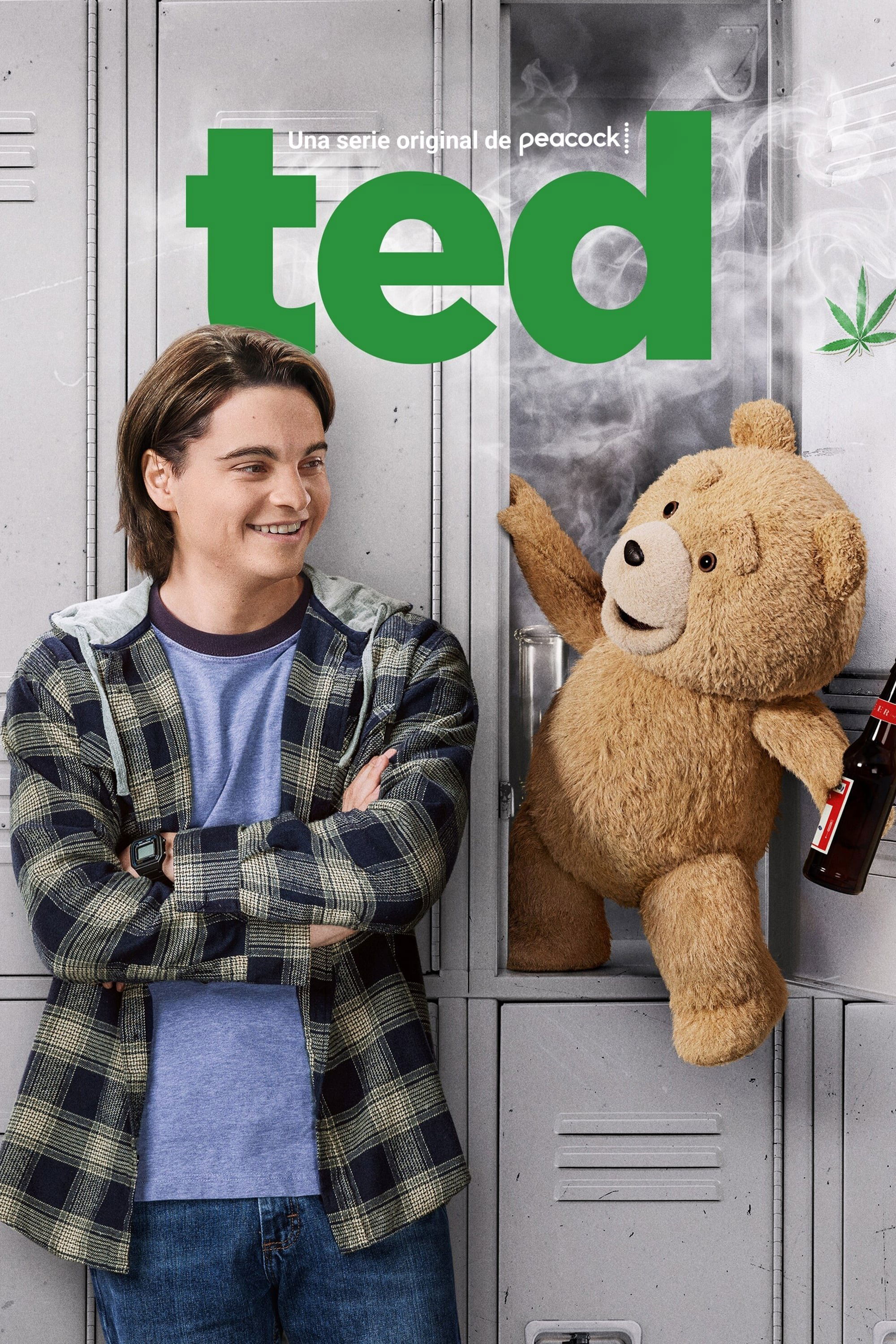 Ver ted serie online