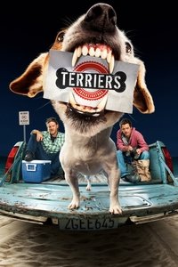 Ver Terriers serie online