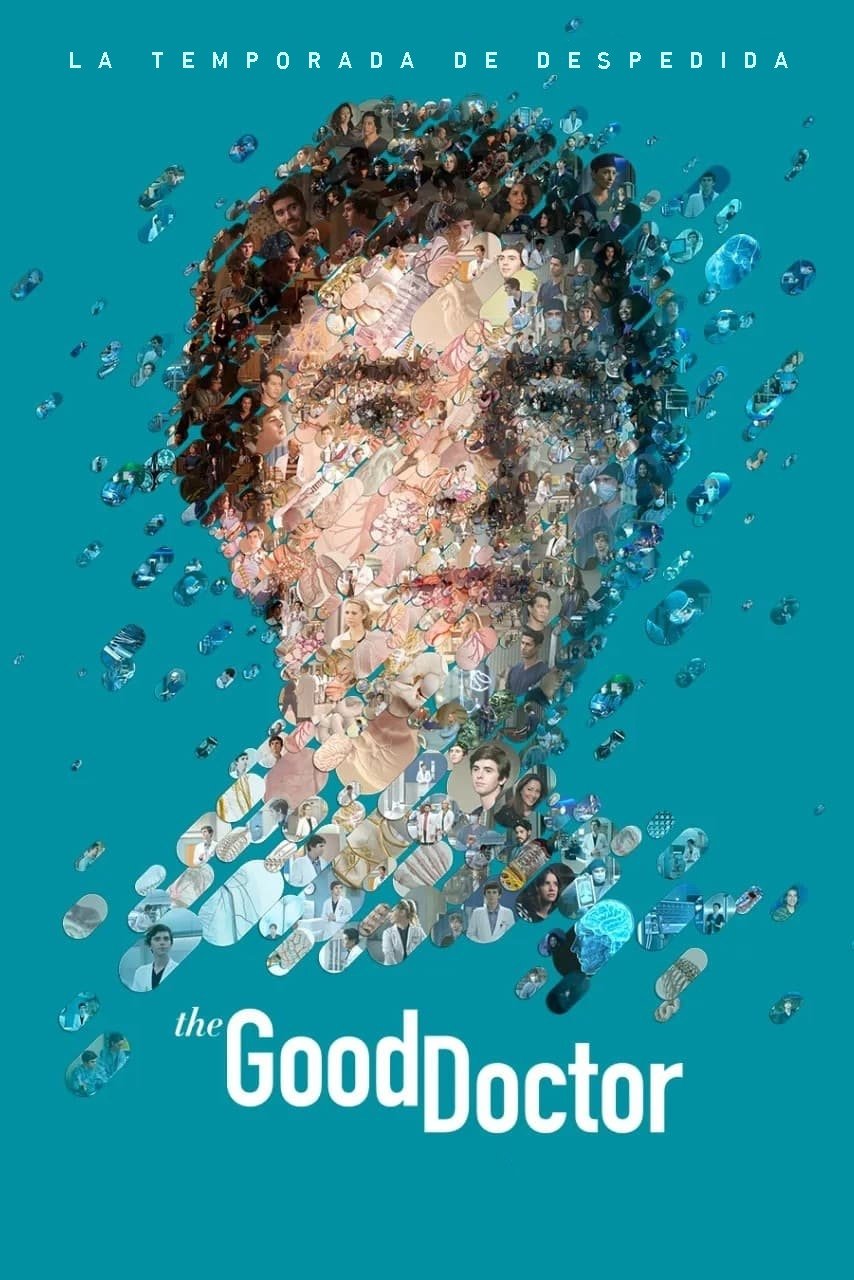 Ver The Good Doctor serie online