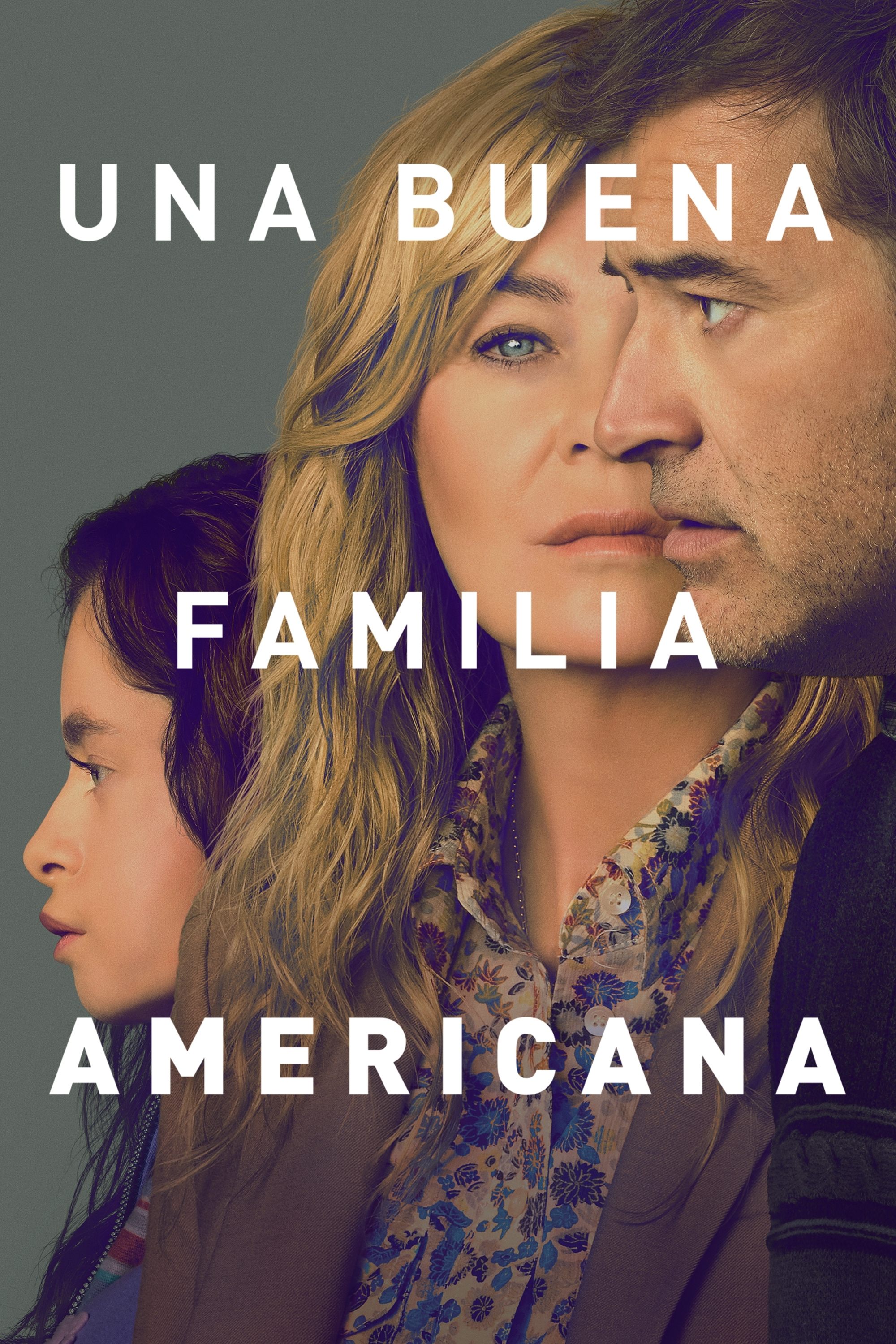 Ver Una buena familia americana serie online