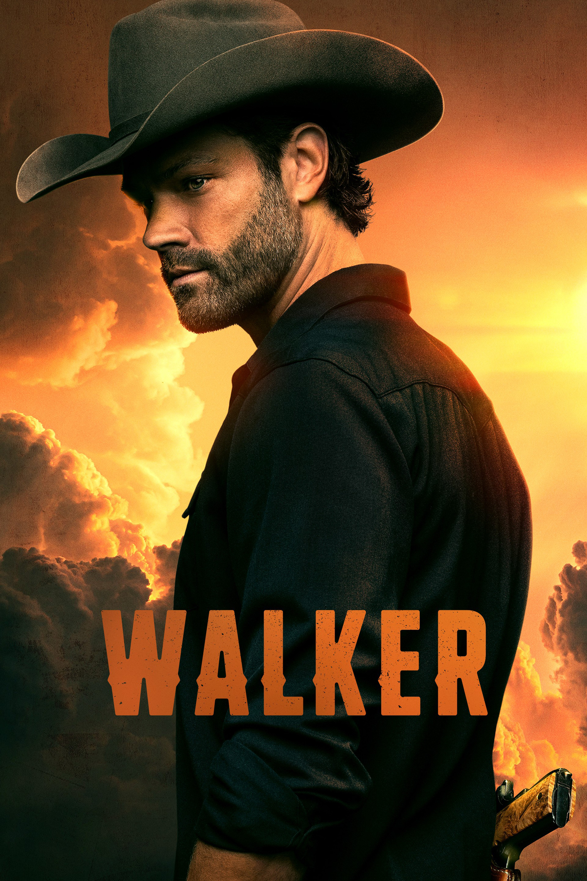 Ver Walker serie online