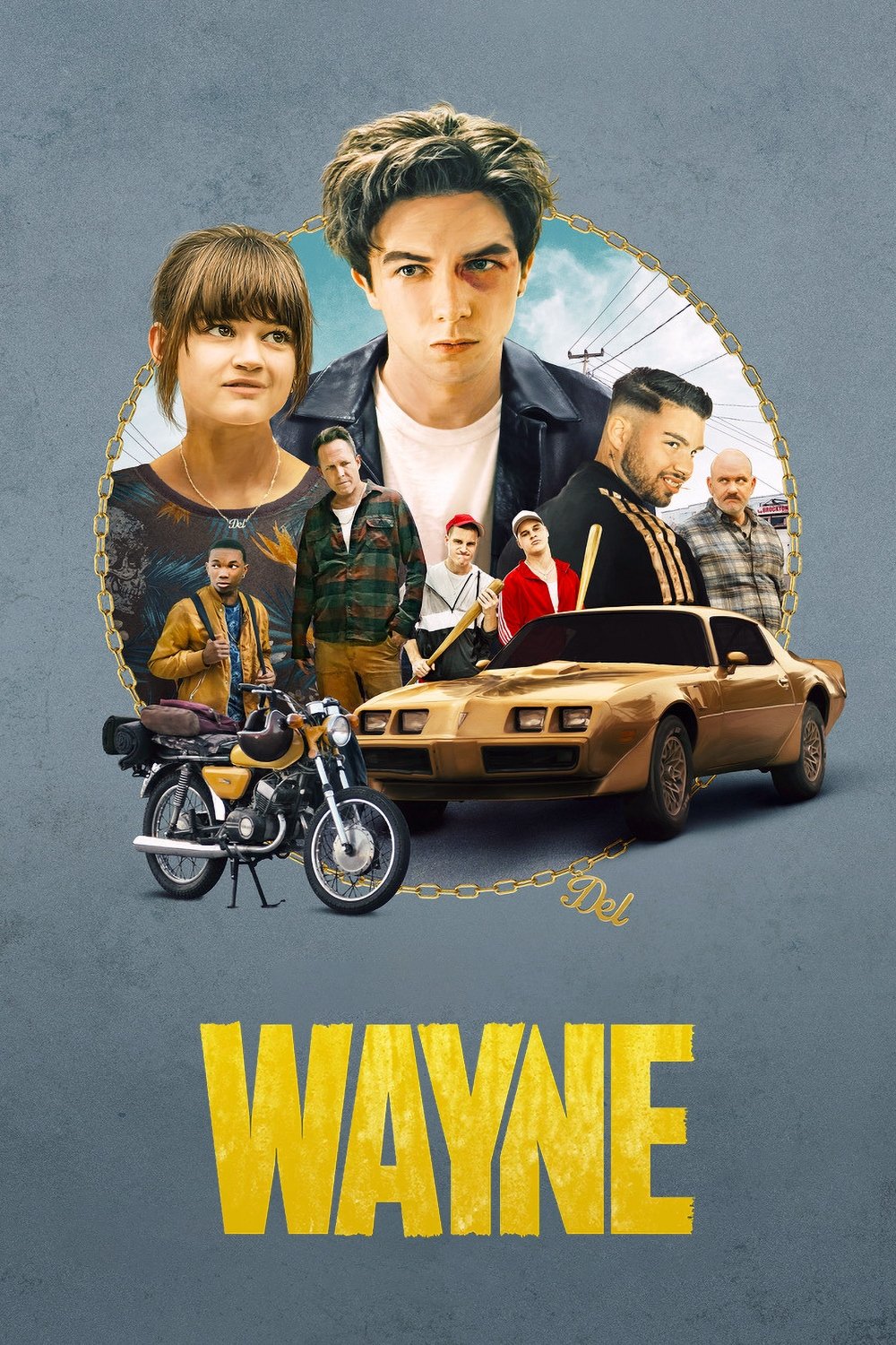 Ver Wayne serie online