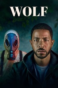 Ver Wolf serie online