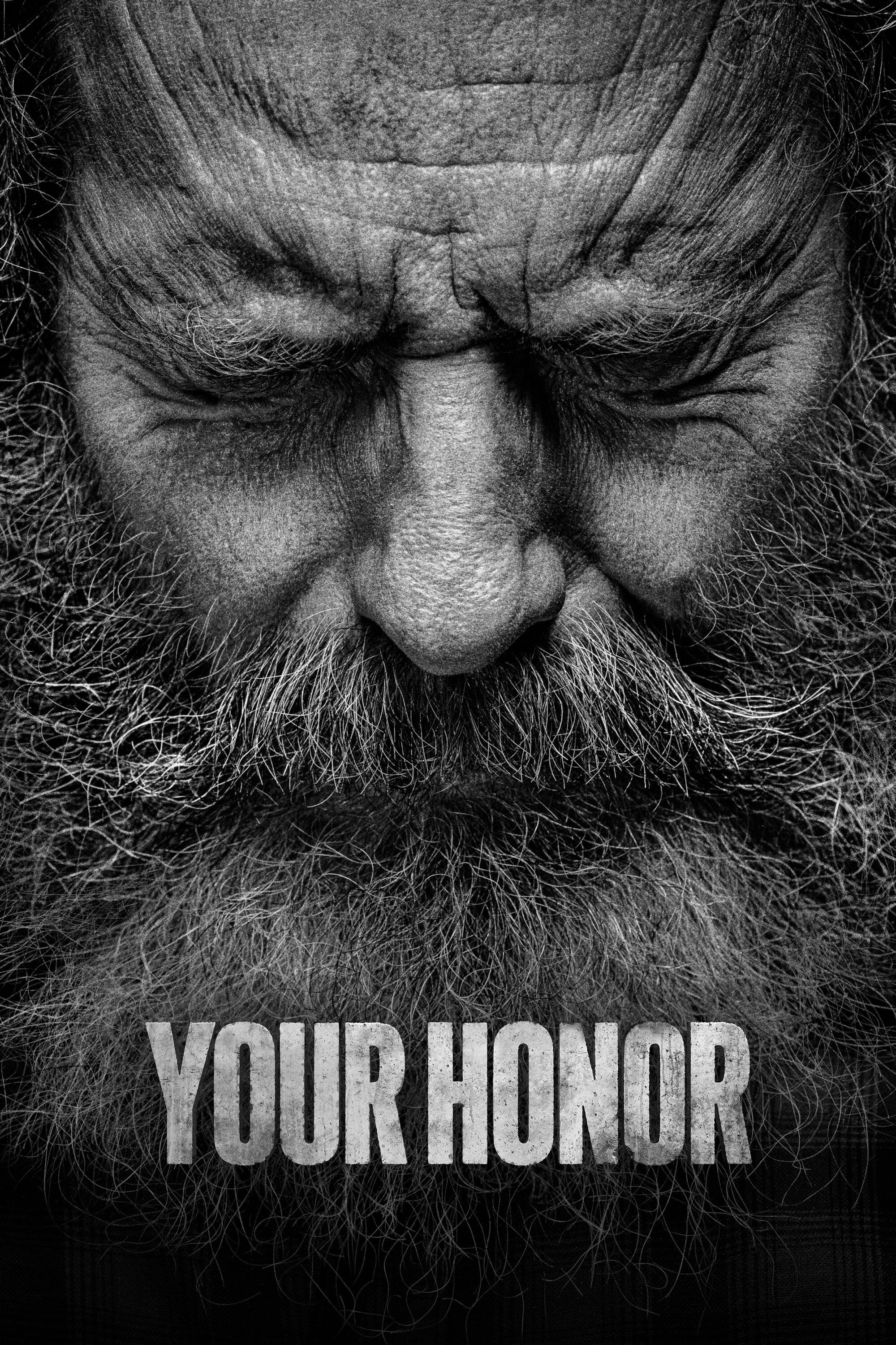 Ver Your Honor serie online